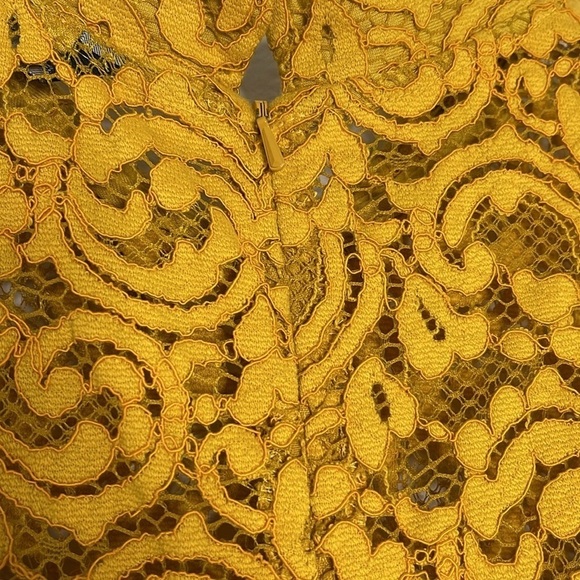 Zara Basic Collection Lace Floral A Line Dress Mustard Yellow Collared Large - Picture 5 of 8